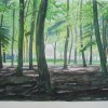 A wood in spring