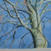 Beech tree