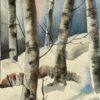 Silver birch in the snow